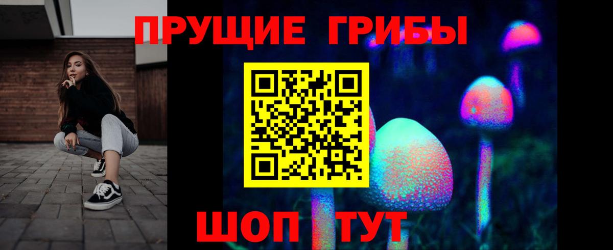 Галлюциногенные грибы Psilocybe  Псилоцибиновые грибы GOLDEN TEACHER  Вход с VPN  Ростов-на-Дону 